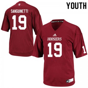 Youth IU #19 Josh Sanguinetti Crimson Stitch Jerseys 479256-494